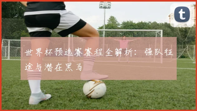 世界杯预选赛赛程全解析：强队征途与潜在黑马