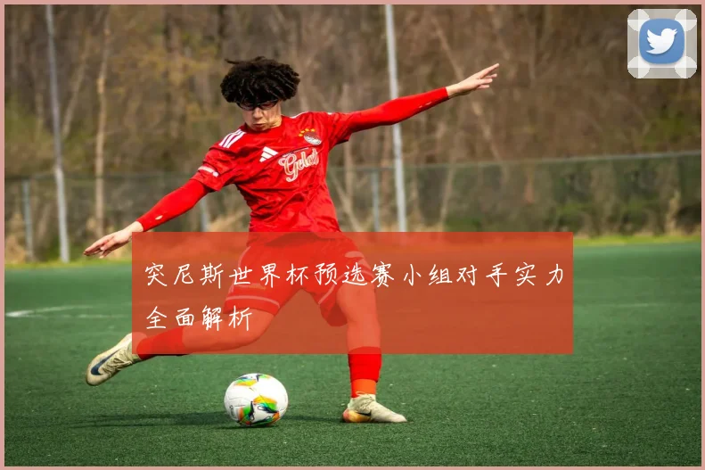 突尼斯世界杯预选赛小组对手实力全面解析