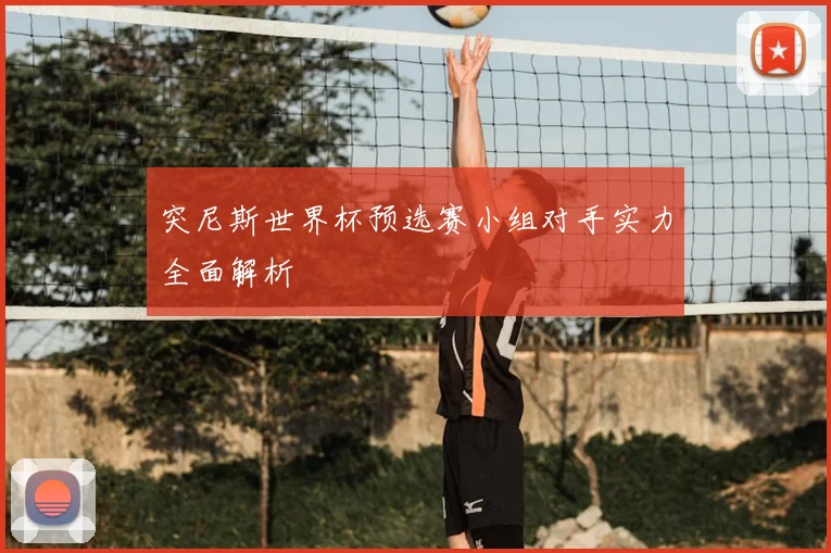 突尼斯世界杯预选赛小组对手实力全面解析