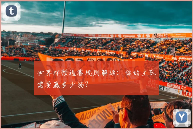 世界杯预选赛规则解读：你的主队需要赢多少场？