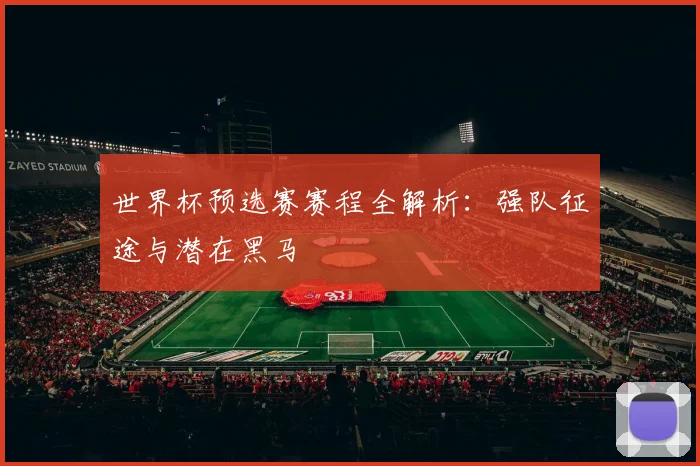 世界杯预选赛赛程全解析：强队征途与潜在黑马